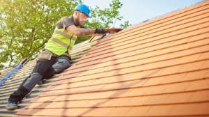 Best Steel Roofing  in Montrose, MI