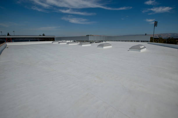 Best Gutter Installation and Repair  in Montrose, MI