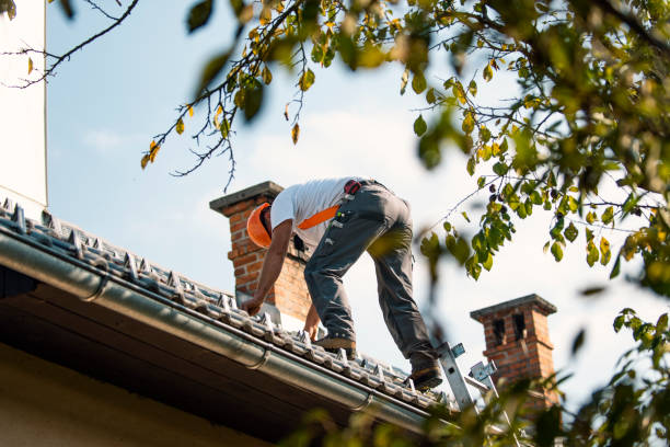 Best Roof Coating and Sealing  in Montrose, MI