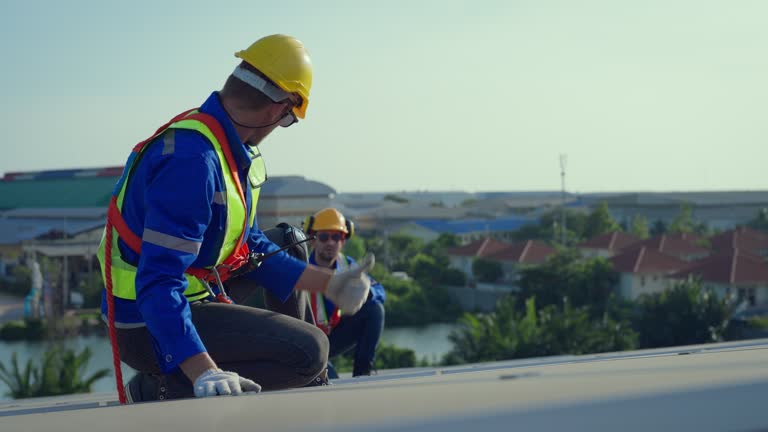 Best Roof Insulation Installation  in Montrose, MI