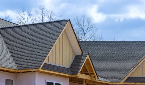 Best Sheet Metal Roofing  in Montrose, MI