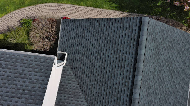 Best Roof Leak Repair  in Montrose, MI