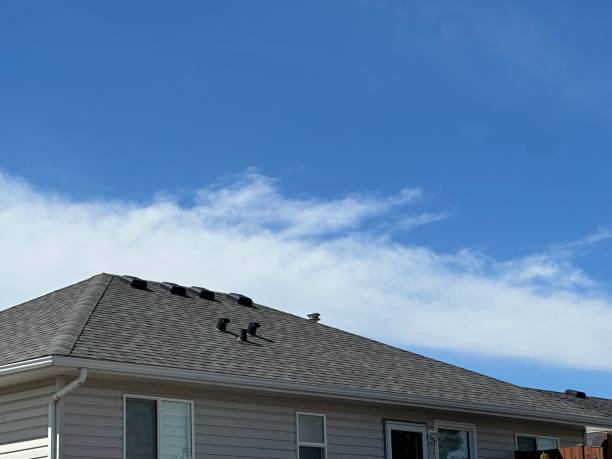 Best EPDM Roofing  in Montrose, MI